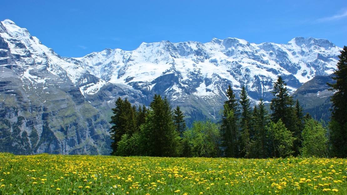 瑞士阿爾卑斯山 瑞士阿爾卑斯山